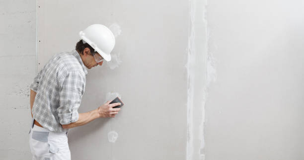 Best Real Estate Mold Inspection  in North Muskegon, MI