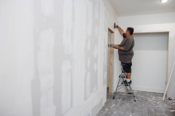 Best Mold Damage Restoration  in North Muskegon, MI