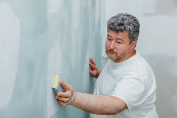 Best Environmental Consulting for Mold Prevention  in North Muskegon, MI